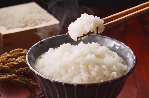 米饭当主食和面食当主食,对人有什么不同影响 哪个相对有益
