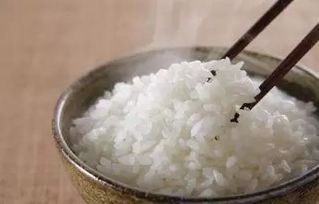 减肥就要拒绝吃主食 真相在这里
