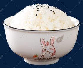 主食米饭素材图片免费下载 千库网